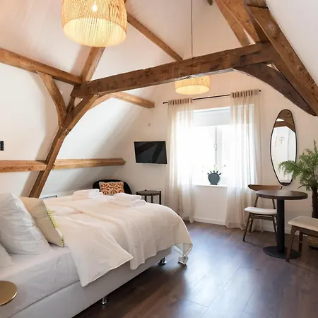 Hotel Six Boutique *